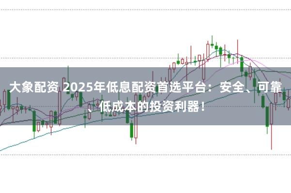 大象配资 2025年低息配资首选平台：安全、可靠、低成本的投资利器！