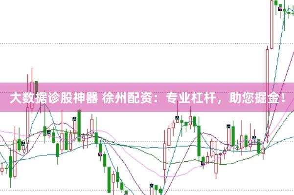 大数据诊股神器 徐州配资：专业杠杆，助您掘金！