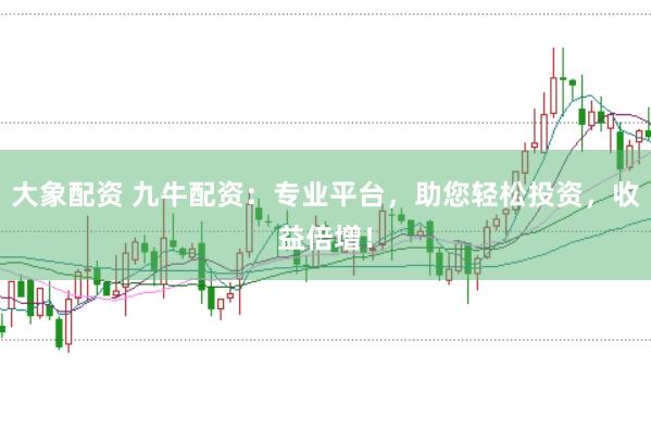 大象配资 九牛配资：专业平台，助您轻松投资，收益倍增！