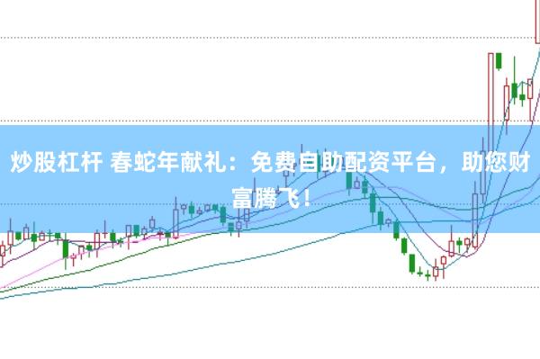 炒股杠杆 春蛇年献礼：免费自助配资平台，助您财富腾飞！