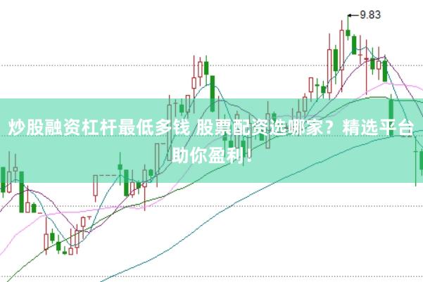 炒股融资杠杆最低多钱 股票配资选哪家？精选平台助你盈利！