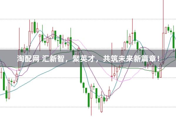 淘配网 汇新智，聚英才，共筑未来新篇章！