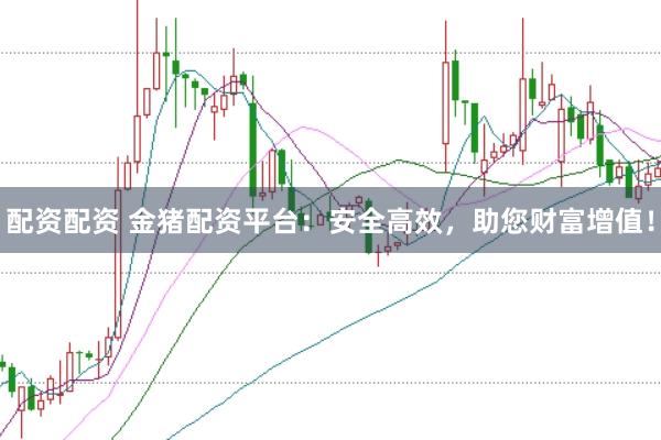 配资配资 金猪配资平台：安全高效，助您财富增值！