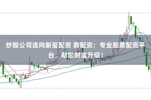 炒股公司连向新玺配资 鼎配资：专业股票配资平台，助您财富升级！
