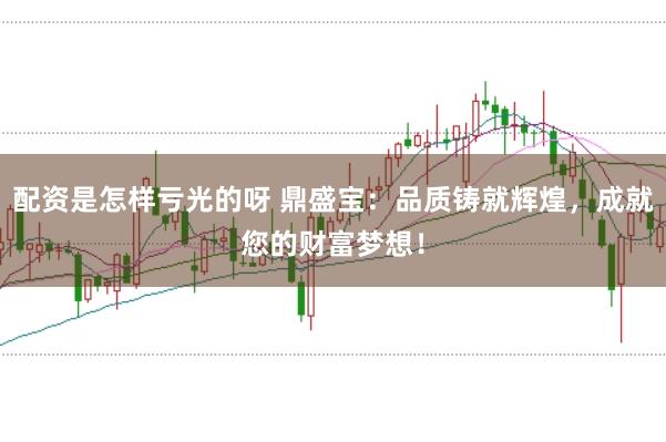 配资是怎样亏光的呀 鼎盛宝：品质铸就辉煌，成就您的财富梦想！