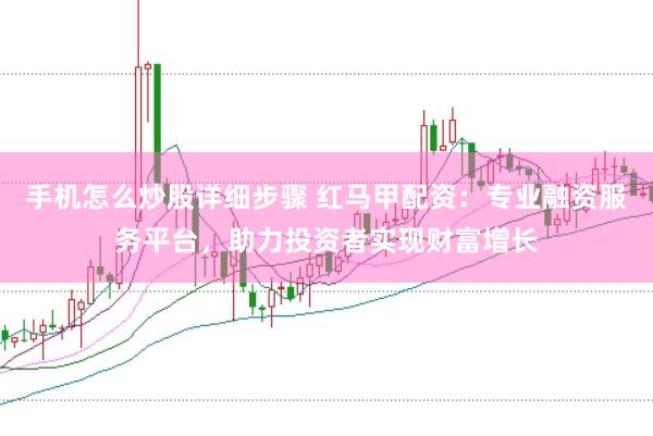 手机怎么炒股详细步骤 红马甲配资：专业融资服务平台，助力投资者实现财富增长