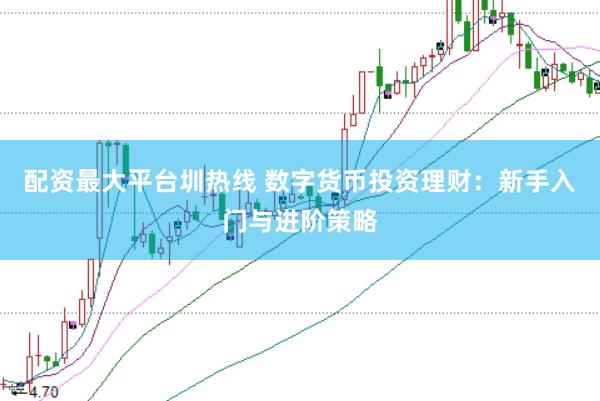 配资最大平台圳热线 数字货币投资理财：新手入门与进阶策略