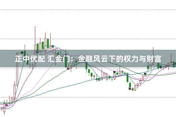 正中优配 汇金门：金融风云下的权力与财富