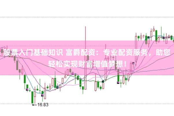 股票入门基础知识 富爵配资：专业配资服务，助您轻松实现财富增值梦想！