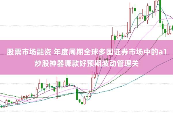 股票市场融资 年度周期全球多国证券市场中的a1炒股神器哪款好预期波动管理关