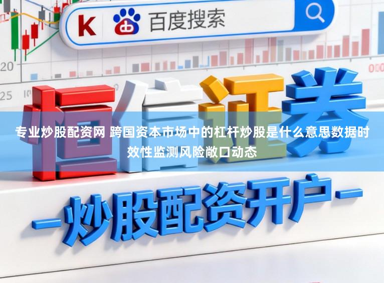 专业炒股配资网 跨国资本市场中的杠杆炒股是什么意思数据时效性监测风险敞口动态