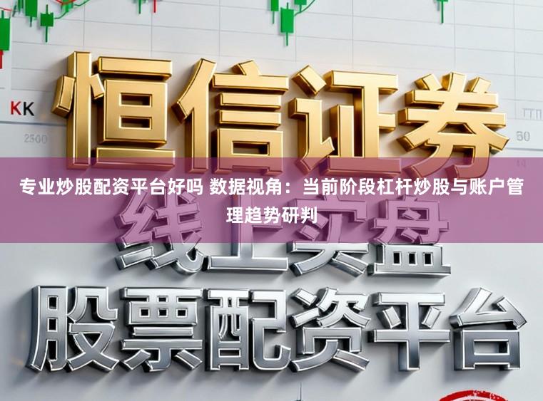 专业炒股配资平台好吗 数据视角：当前阶段杠杆炒股与账户管理趋势研判